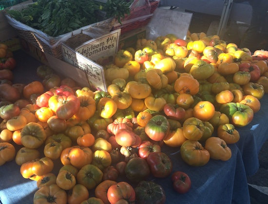 Five Favorites | Glitter & Grace Blog