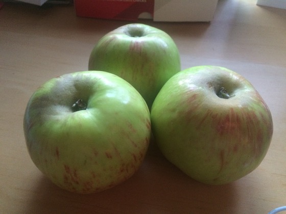 Daily Eats | Glitter & Grace Blog