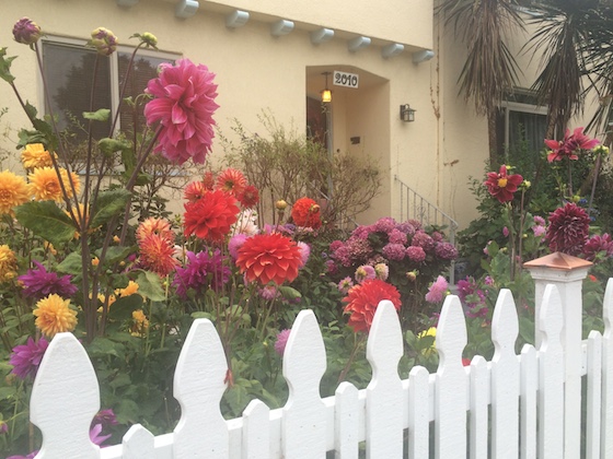 Five Favorites | Glitter & Grace Blog