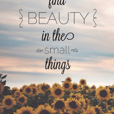 Wordless Wednesday | Glitter & Grace Blog