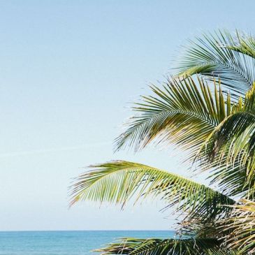 Wordless Wednesday | Glitter & Grace Blog