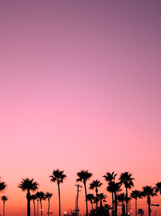 Wordless Wednesday | Glitter & Grace Blog