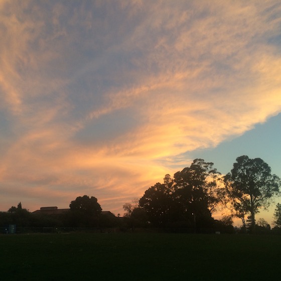 Five Favorites | Glitter & Grace Blog