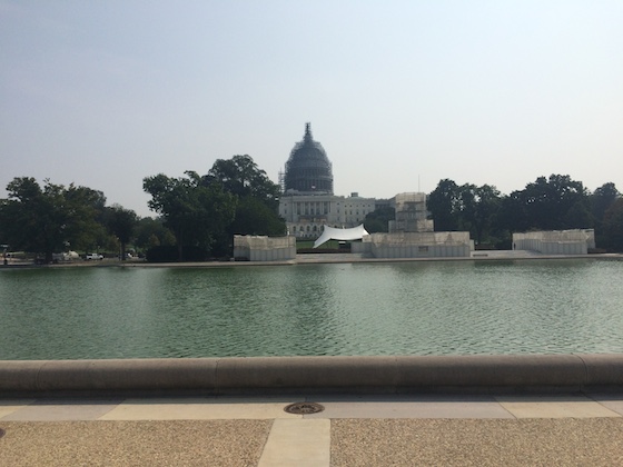 Five Favorites | Glitter & Grace Blog