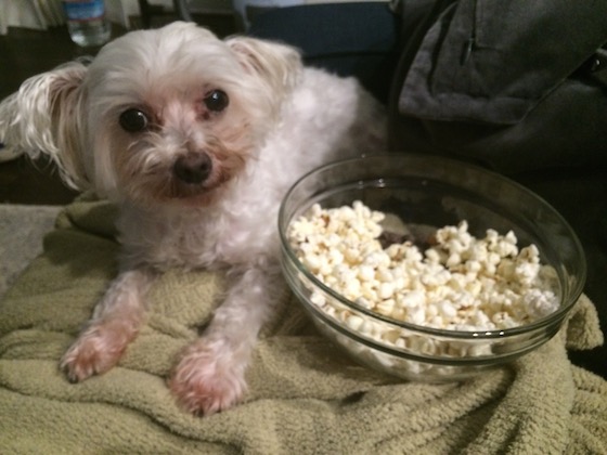 Daily Eats | Glitter & Grace Blog