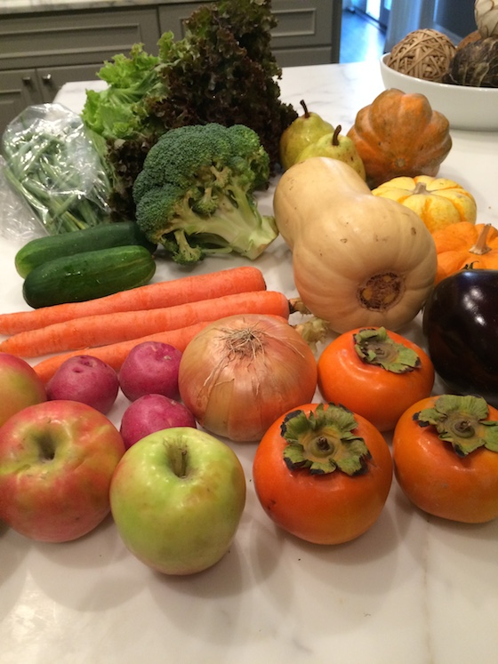 Five Favorites | Glitter & Grace Blog