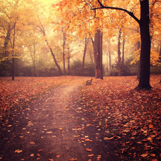 What's Making Me Happy: November 2015 | Glitter & Grace Blog