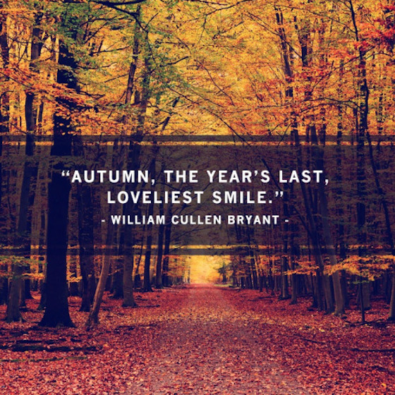 Wordless Wednesday | Glitter & Grace Blog