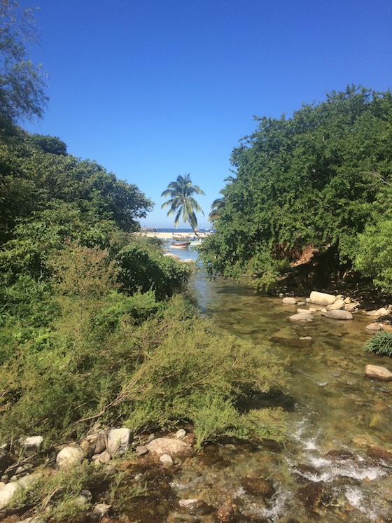 A Tropical Getaway! | Glitter & Grace Blog