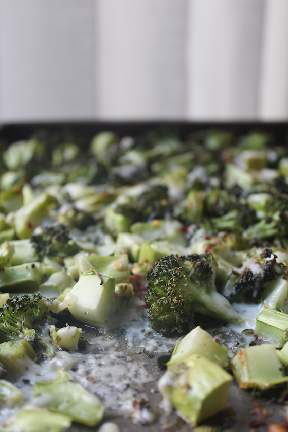 cheesyRoastedBroccoli03