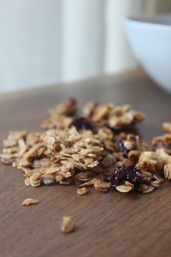 mapleCoconutGranola07