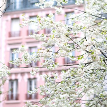 Spring Cleaning | Glitter & Grace Blog