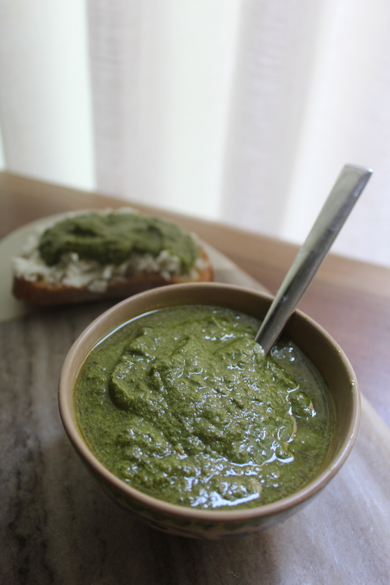Mint Parsley Pesto + recipe | Glitter & Grace Blog #summerrecipe #mint #parsley #italian