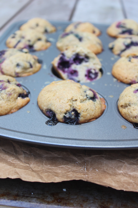 wholeWheatBlueberryMuffins04
