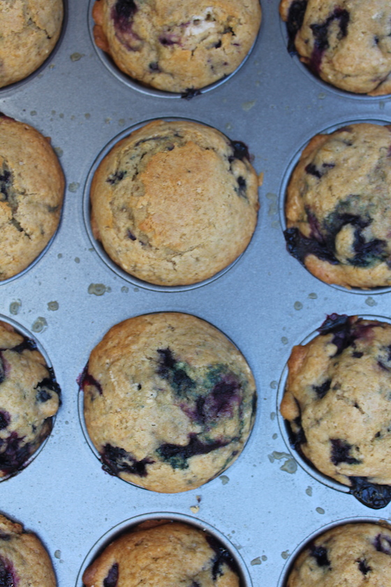 wholeWheatBlueberryMuffins08