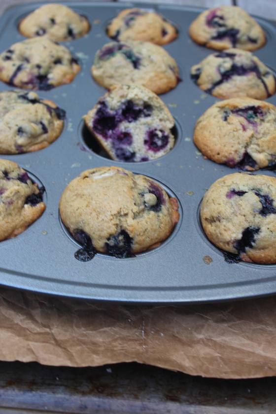 wholeWheatBlueberryMuffins09