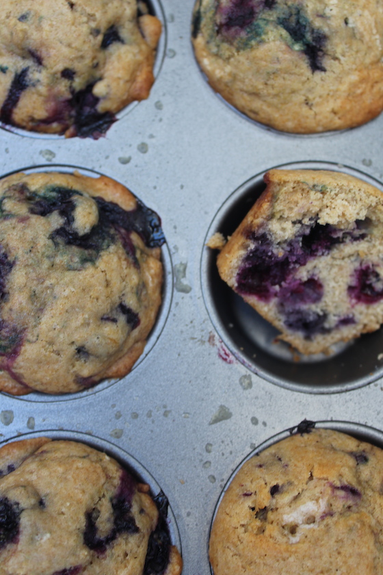 wholeWheatBlueberryMuffins10