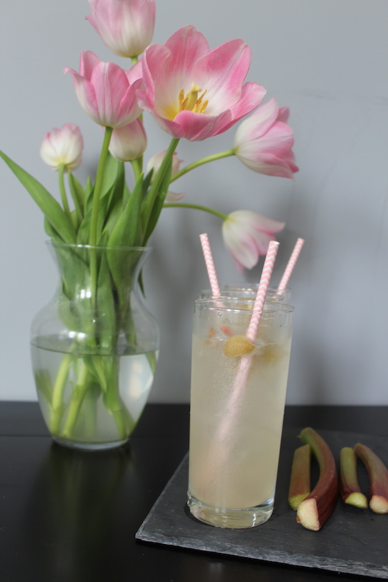 Rhubarb Lemon Spritzer + recipe | Glitter & Grace Blog #springrecipe #rhubarb #lemon #mocktail #picnicrecipe